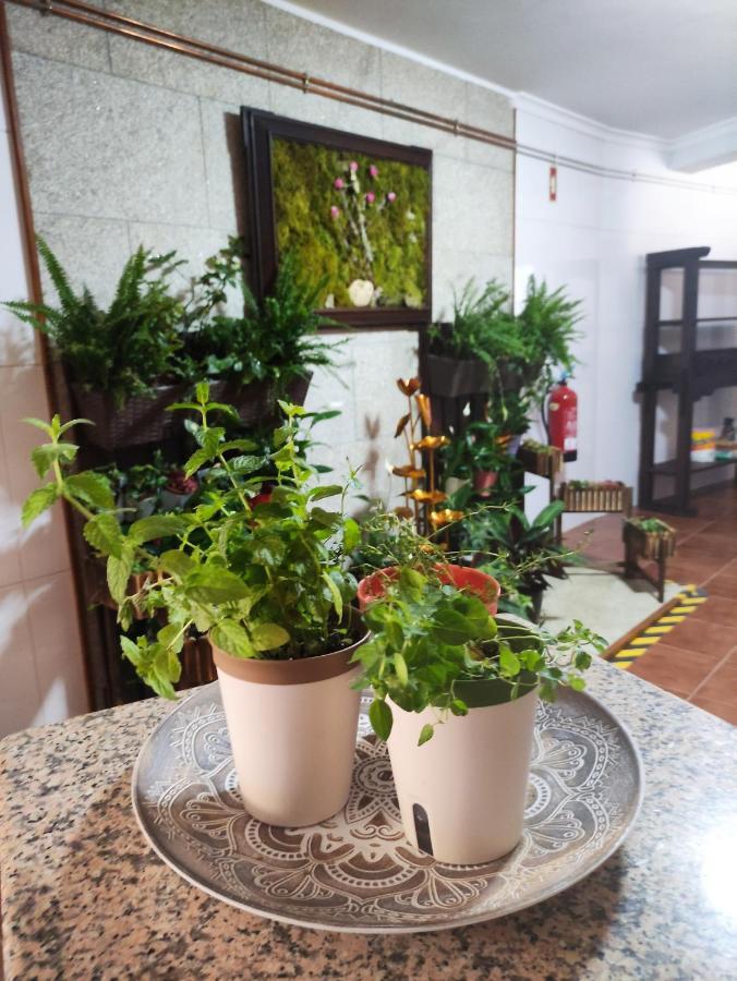 Zimao Garden House Ξενοδοχείο Vila Pouca de Aguiar Εξωτερικό φωτογραφία