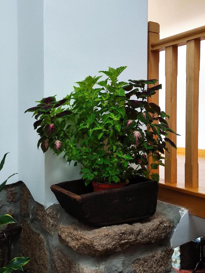 Zimao Garden House Ξενοδοχείο Vila Pouca de Aguiar Εξωτερικό φωτογραφία